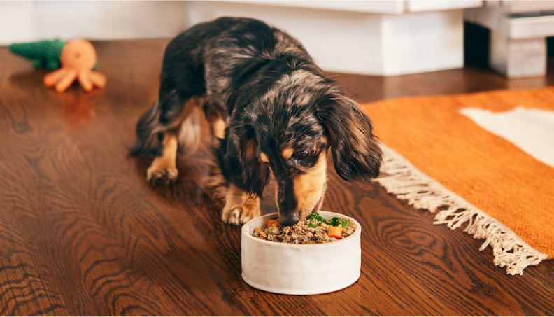 The Farmer’s Dog recipes are developed by veterinarians to be complete and balanced